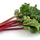 Sementes Ruibarbo Linha Super 500mg Isla