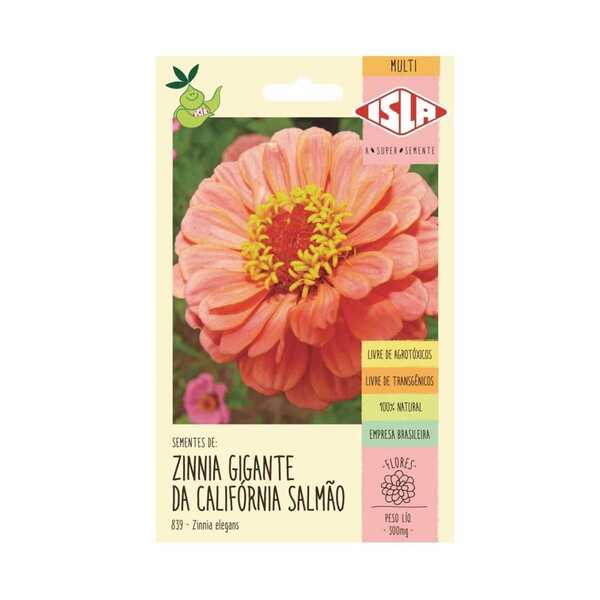 Sementes Zinnia Dahliaflora Salmão Gigante Califórnia Isla