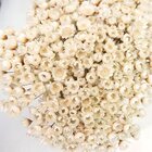 Sempre Viva Florzinha Branca I Flores Desidratadas