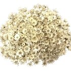 Sempre Vivas Branca Lembrança, Decoração 1200 Flores