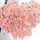 Sempre Vivas Cor De Rosa Lembrança, Decoração 1200 Flores