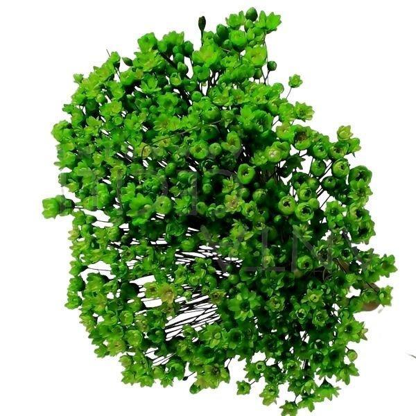 Sempre Vivas Verde Lembrança, Decoração 1200 Flores