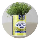 Sente Para Erva Doce Do Bem 295168839