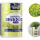 Sente Para Erva Doce Do Bem 295168839