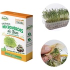 Sente Para Microverdes Do Bem Cenoura 295168891