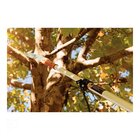 Serrote Com Lamina Metalica De 13 Polegadas Sem Cabo Tramonti