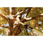 Serrote Com Lamina Metalica De 13 Polegadas Sem Cabo Tramonti