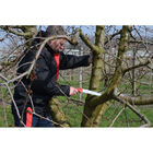 Serrote Felco 611 Lâmina Reta 330mm