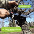 Serrote Japonês Z-fruit H-240 Com Bainha Para Frutas Cítricas