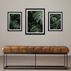 Set 3 Quadros Folhas - Costela De Adão Moldura Branca