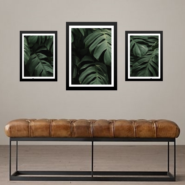 Set 3 Quadros Folhas - Costela De Adão Moldura Branca