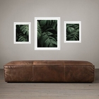 Set 3 Quadros Folhas - Costela De Adão Moldura Branca