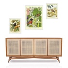 Set 3 Quadros Pássaros Flores E Frutas - Com Vidro  Moldura B