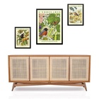 Set 3 Quadros Pássaros Flores E Frutas Moldura Branca