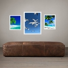 Set 3 Quadros Praia Azul - Gaivotas Moldura Branca