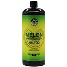 Shampoo Automotivo Melon Neutro  1500ml Easytech