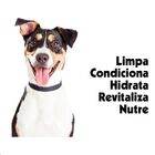 Shampoo/condicionador 5 Em 1 Cães E Gatos Pet Clean 700ml