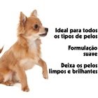 Shampoo Pet Natural Pet Clean 700ml Caes Cachorro