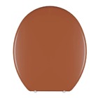 Sifao Sanfonado Universal Branco Ssum Astra