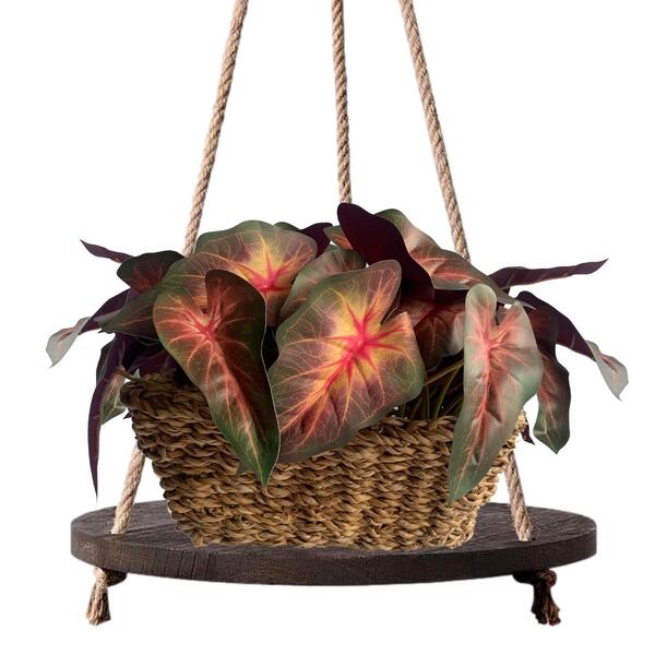 Singônio Decorativo Permanente - 6 Unidades Para Montar Arran