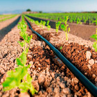 Sistema De Irrigação Gotejamento Plástica 100cm - 350 Metros
