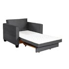 Sofá Cama 1 Lugar Leon  Grafite