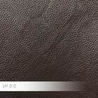 Sofá Elétrico Reclinável E Retrátil 2 Lugares Affection Couro