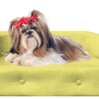 Sofa Pet Megui Almofadinha Amarelo