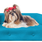 Sofa Pet Megui Almofadinha Turquesa