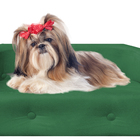 Sofa Pet Megui Verde Almofadinha