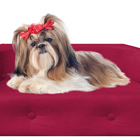 Sofa Pet Megui Vermelho Almofadinha