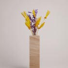 Solitário Kalarrari