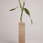 Solitário Kalarrari