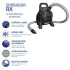 Soprador Rex 127v Preto Pet Shop Banho E Tosa