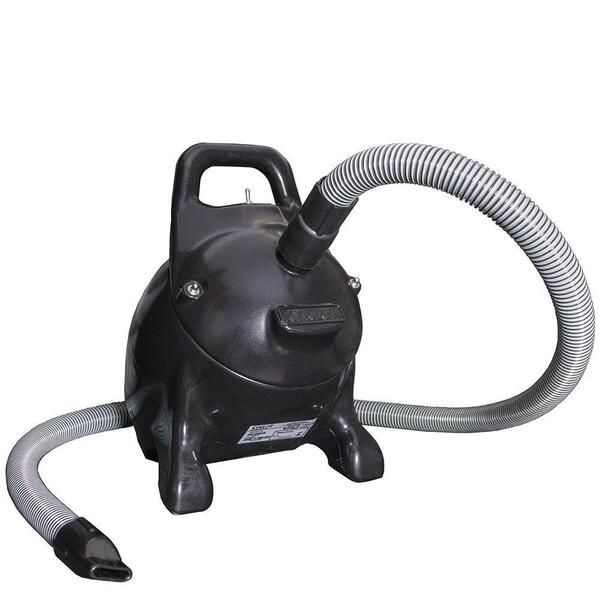 Soprador Rex 127v Preto Pet Shop Banho E Tosa