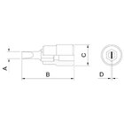 Soquete Em Aço Cromo Vanádio Ponta Chata Tamanho 10 - Encaixe