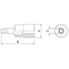 Soquete Em Aço Cromo Vanádio Ponta Trafix T30 - Encaixe 1/2"