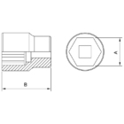Soquete Sextavado Em Cobre-berilio 8 Mm - Encaixe 1 2 Tramont