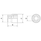 Soquete Techdrive Aço Cromo Vanádio 9mm - Encaixe 1/2" Tramon