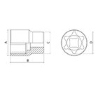 Soquete Trafix Fêmea Em Aço Cromo Vanádio E11 - Encaixe 3/8"