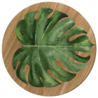 Sousplat De Folhagem Costela De Adão Planta Rústico Mesa Posta