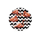 Sousplat Flamingo Chevron - 1 Peça - Sem Base