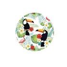 Sousplat Tucanos - 1 Peça - Sem Base