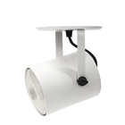 Spot De Sobrepor Direcionável Cannon Par30 Redondo Taschibra