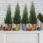 Mettalic Tinta Spray Acabamento Metálico Cobre 312G Specialty Rust-Oleum