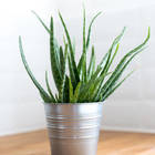 Metal Protection Tinta Spray Antiferrugem Prata 340G Rust-Oleum