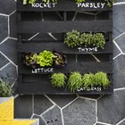 Chalkboard Tinta Spray Quadro Negro 312G Specialty Rust-Oleum