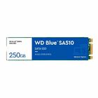 Ssd 250gb M.2 2280 Wd Blue Sa510  Sata Iii  Leitura 555 Mbs