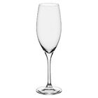 Stólzle Classic Taça Champanhe 22x7x7cm 240ml Cristal Transpa
