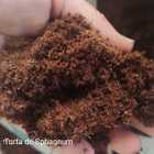 Substrato Cultivo Grow Indoor Completo 5 Litros + Brinde